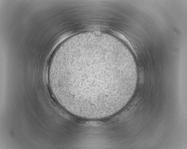 X0000115361227200912151351
