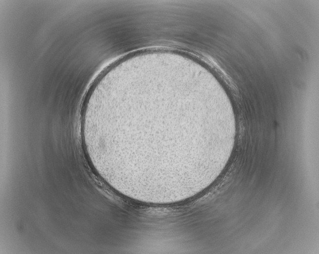 X0000115361232200912151351
