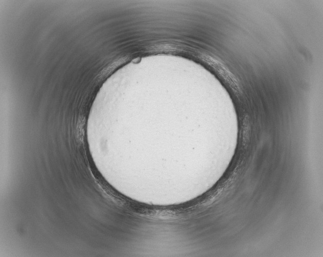 X0000115361233200912151351