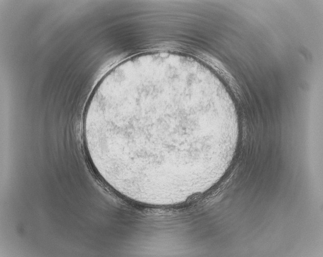 X0000115361234200912151351