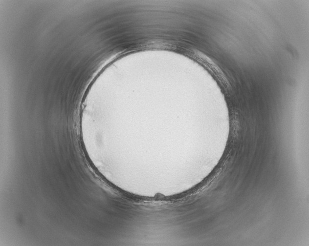 X0000115361236200912151351
