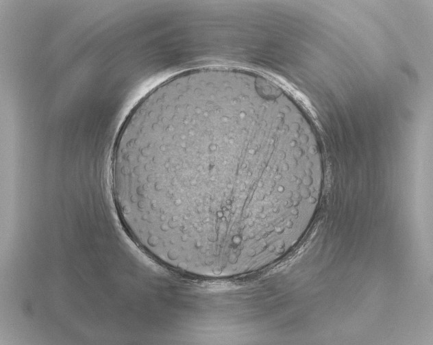 X0000115361239200912151351