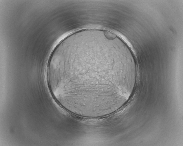 X0000115361245200912151351