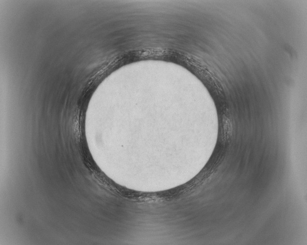 X0000115361250200912151350
