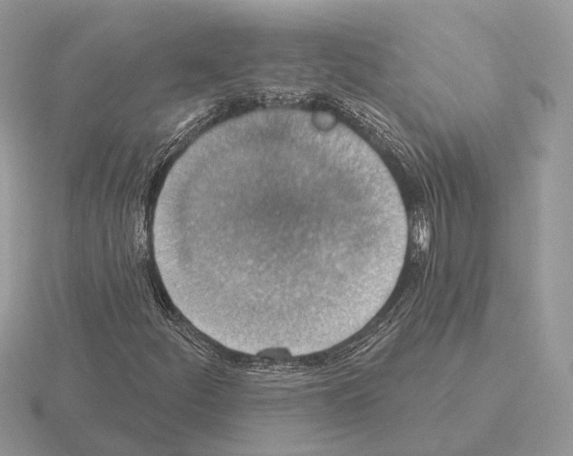 X0000115361252200912151350