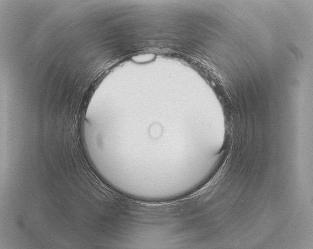 X0000115361257200912151350