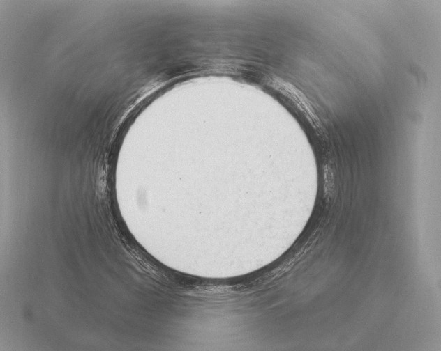X0000115361260200912151350
