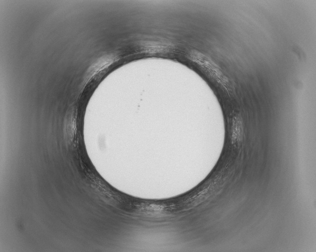 X0000115361261200912151350