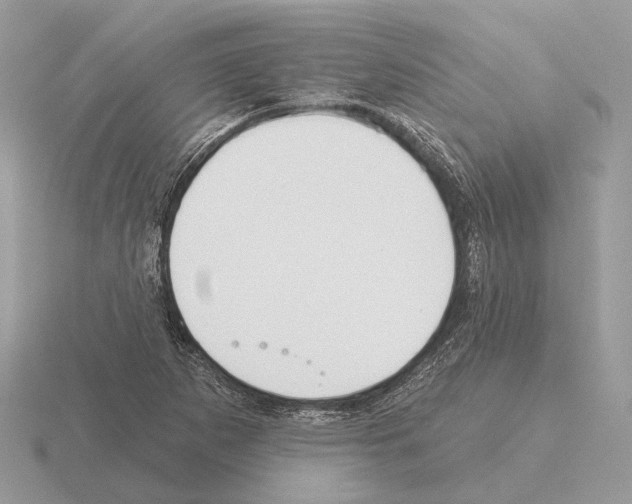 X0000115361265200912151350