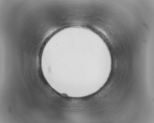 X0000115361267200912151350