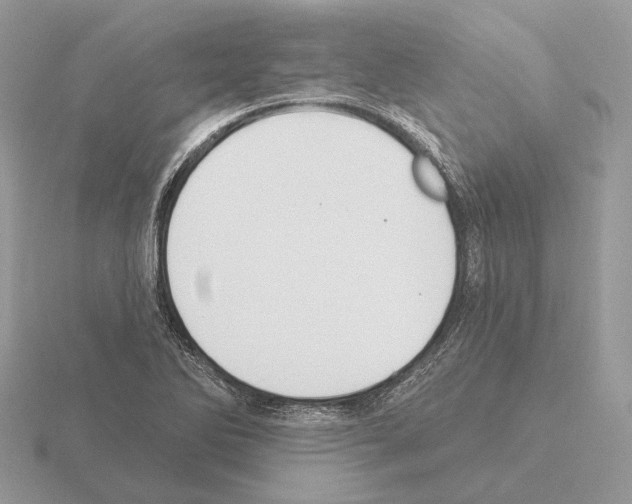 X0000115361270200912151350