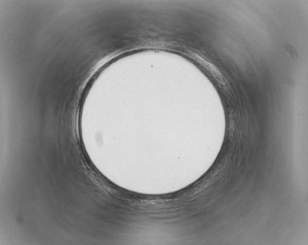 X0000115361272200912151350