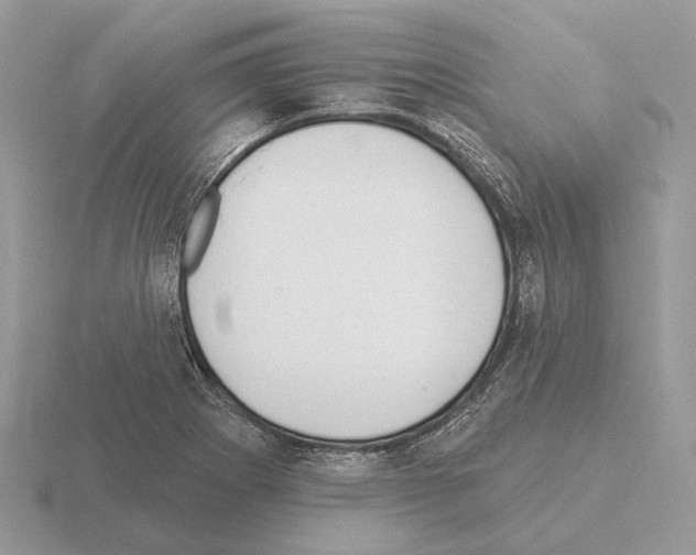 X0000115361273200912151350