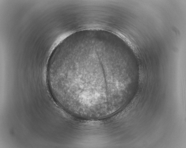 X0000115361277200912151350