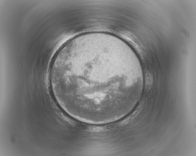 X0000115361278200912151350