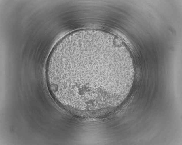 X0000115361283200912151350