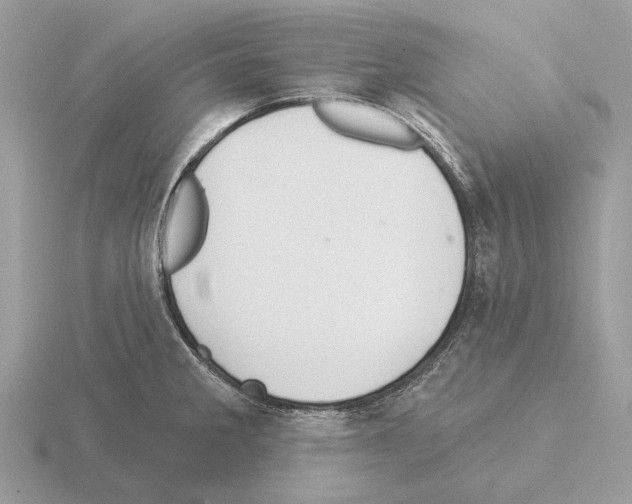 X0000115361285200912151350