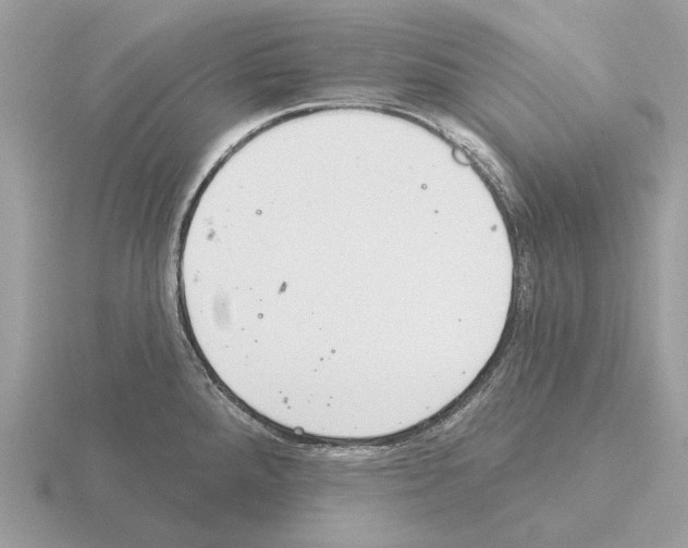 X0000115361288200912151350