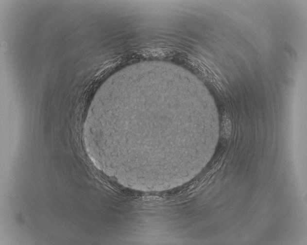 X0000115361297200912151349