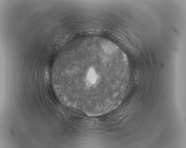 X0000115361298200912151349