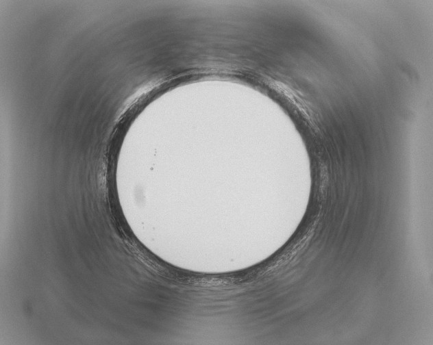 X0000115361307200912151349