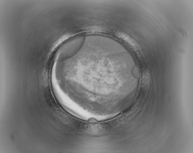 X0000115361310200912151349