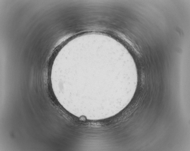 X0000115361315200912151349
