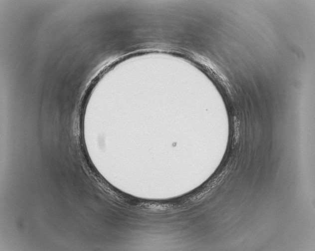 X0000115361318200912151349