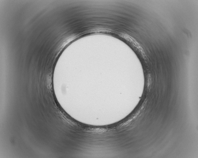 X0000115361321200912151349