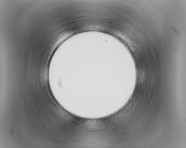 X0000115361322200912151349