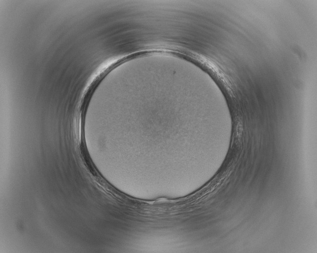 X0000115361323200912151349