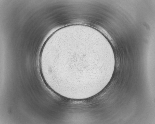 X0000115361339200912151349