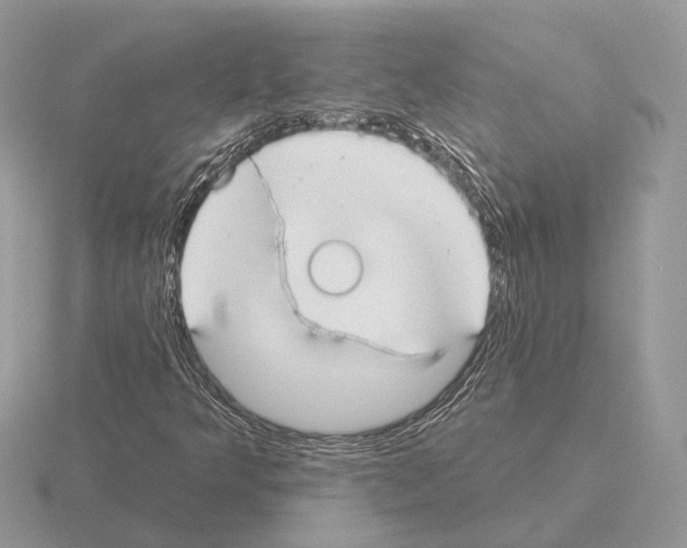X0000115361349200912151349