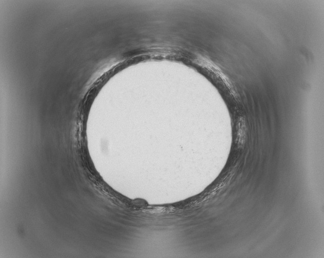 X0000115361352200912151349