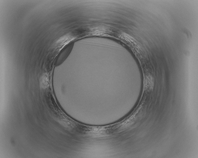 X0000115361353200912151349