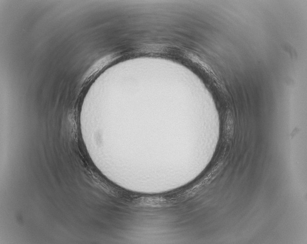 X0000115361354200912151349