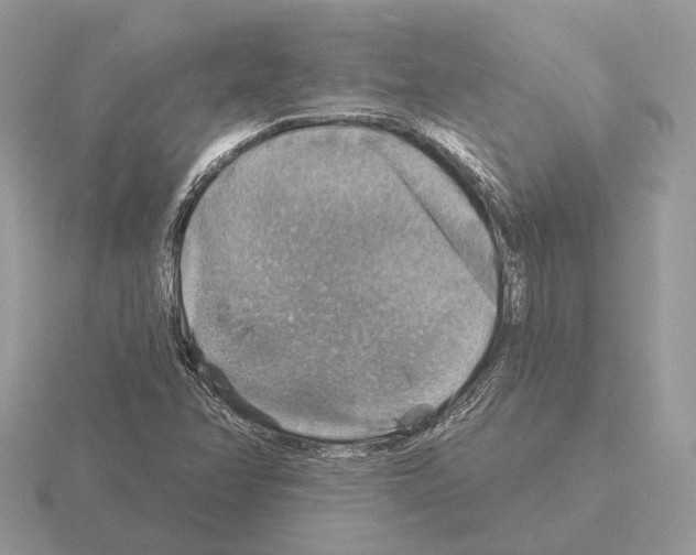 X0000115361358200912151349