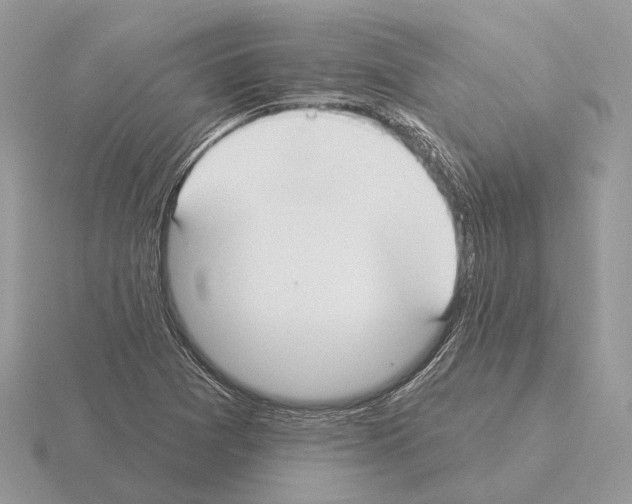 X0000115361361200912151349
