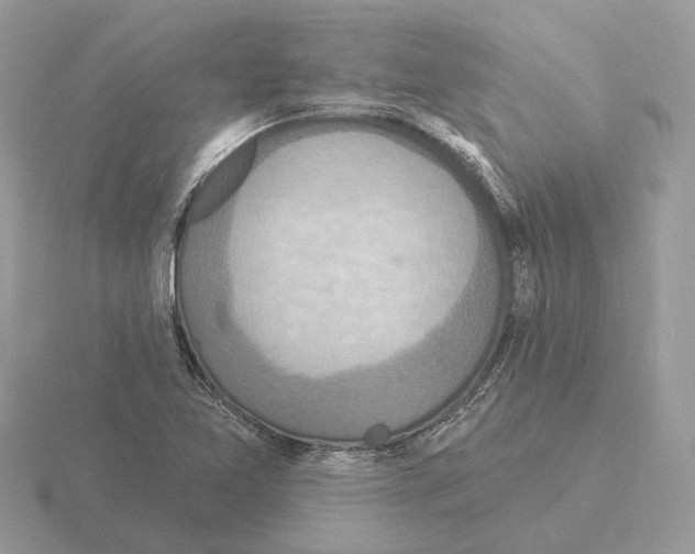 X0000115361365200912151349