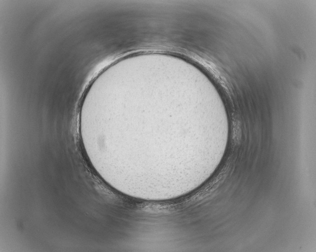 X0000115361366200912151349