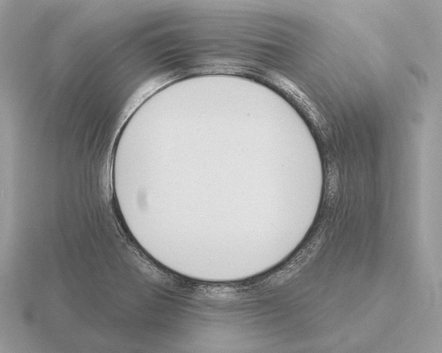 X0000115361370200912151349