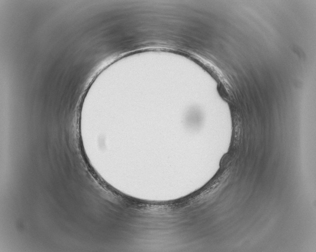 X0000115361375200912151349