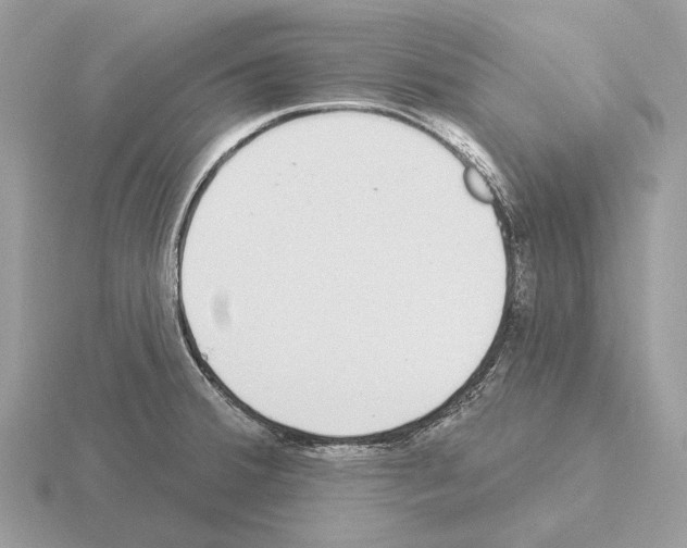 X0000115361380200912151348