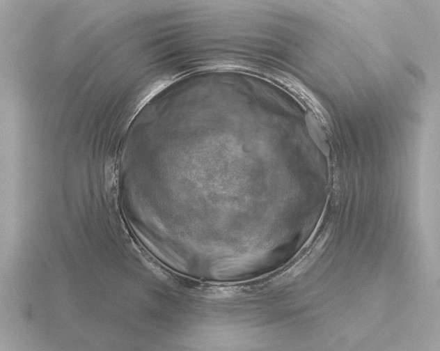 X0000115361385200912151348