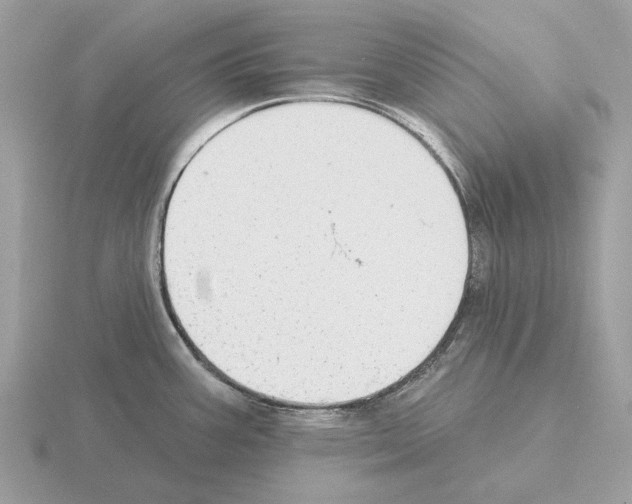 X0000115361387200912151348