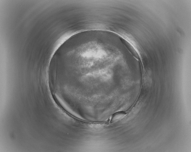 X0000115361389200912151348