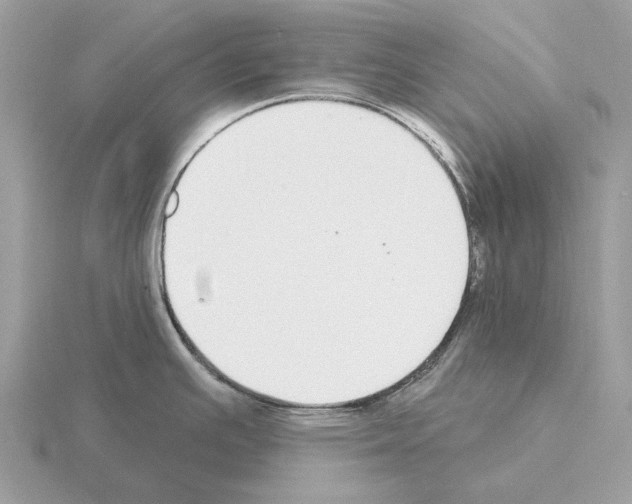 X0000115361391200912151348