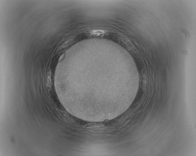 X0000115361394200912151348