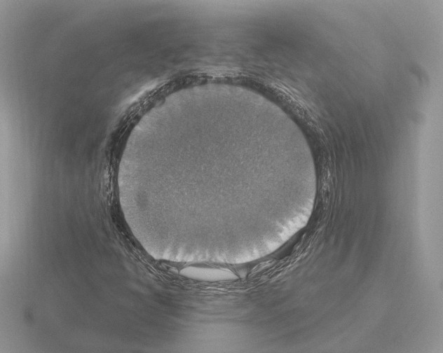 X0000115361398200912151348
