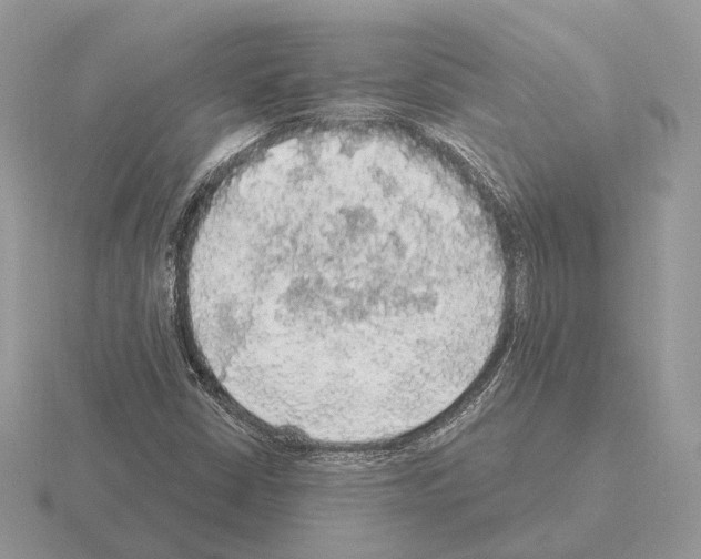 X0000115361402200912151348